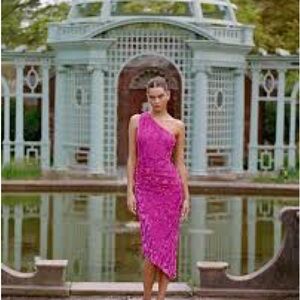 Hutch Vibrant Pink One-Shoulder Dress sz L